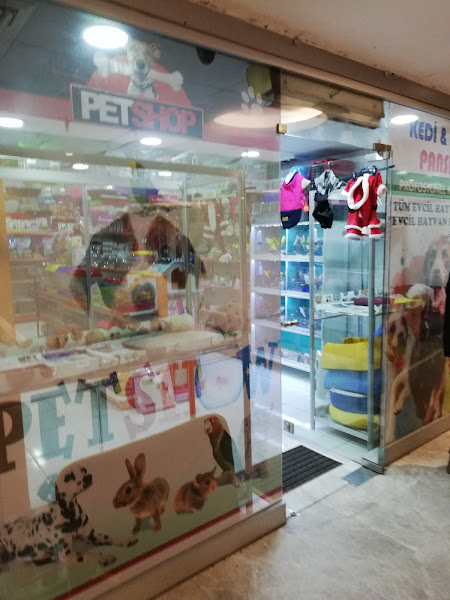 Kanka Köpek - Alya Petshop