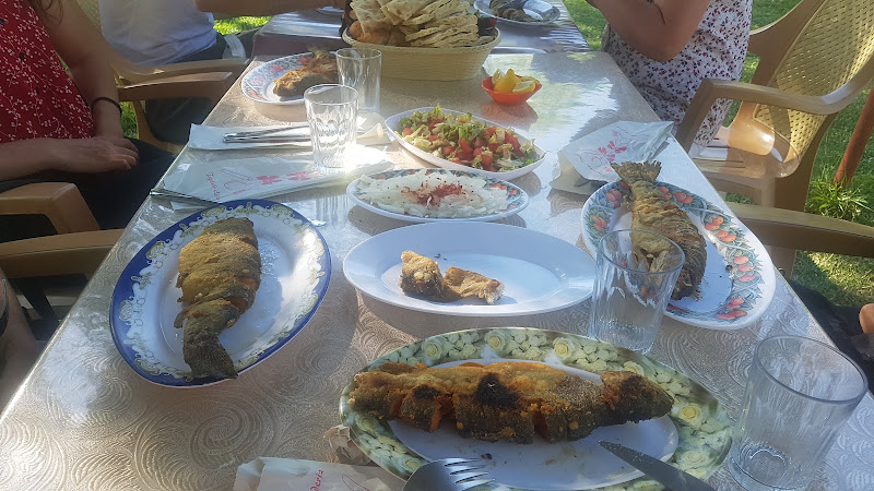 KARAÇAYIR GÖKKUŞAĞI ALABALIK
