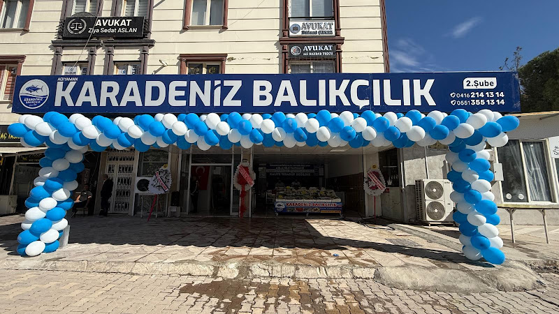 KARADENİZ BALIKÇILIK