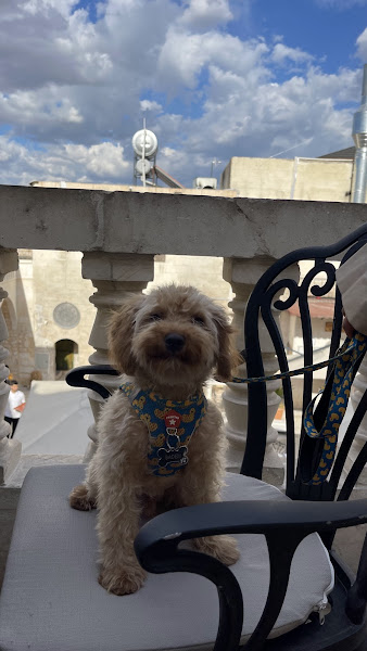 Karaköprü Pet Kuaför & Pet Shop ( Pet Haven)