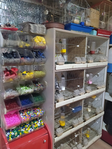 Karaman Kanatlı Dünyası Petshop
