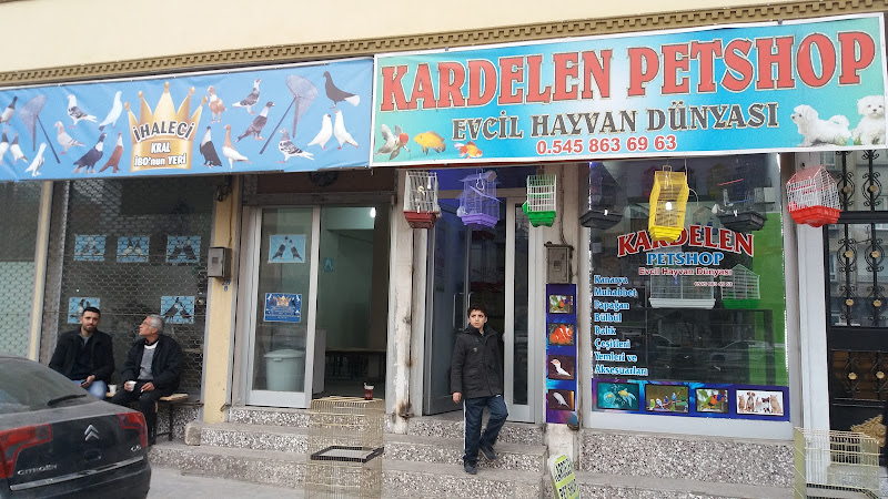 Kardelen Petshop Balık Ve Kuş Dünyası
