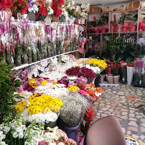 Kastamonu çiçekçi Can çiçekçilik adalet caddesi no 17.