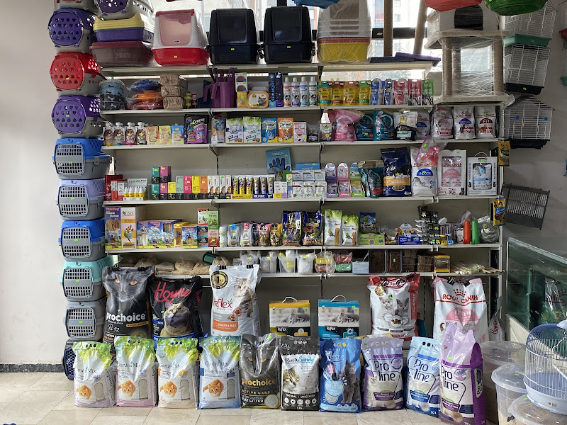 kayseri masal petshop evcil hayvan ürünleri mağzası
