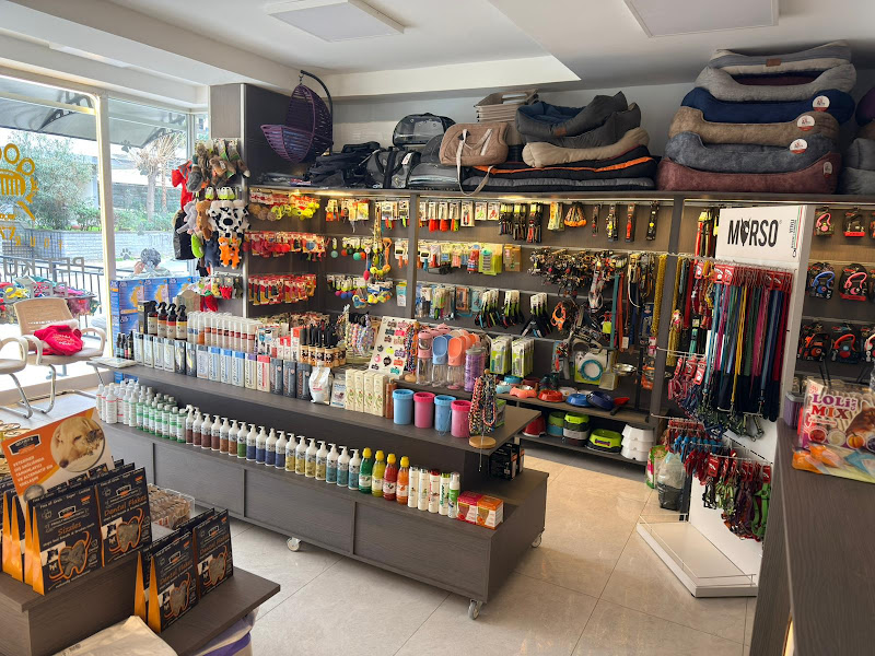 Kazasker petshop