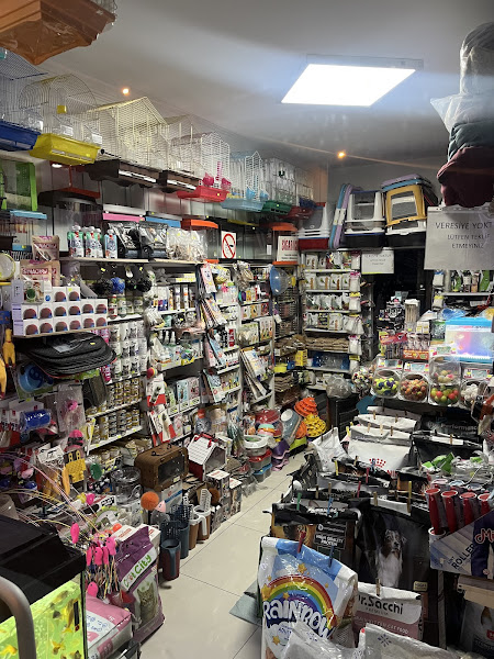 Kedicim Petshop