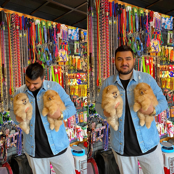 King Pet Petshop
