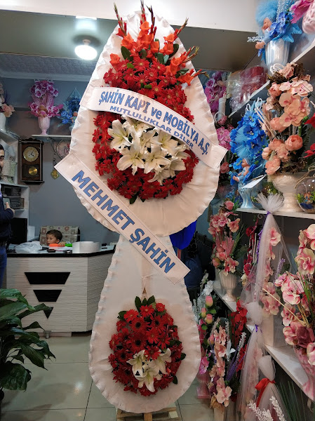 Kırıkkale Manolya Çiçek