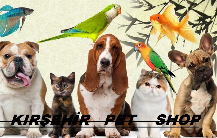 KIRŞEHİR PET SHOP