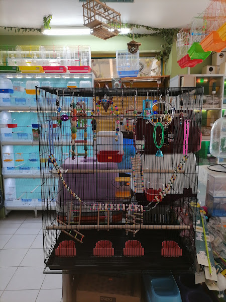 Klas Pet Shop