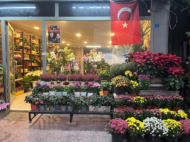 Köksal Çiçek Evi & Café