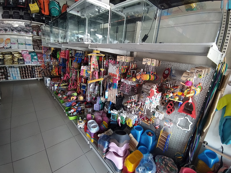 KORAY PET MARKET