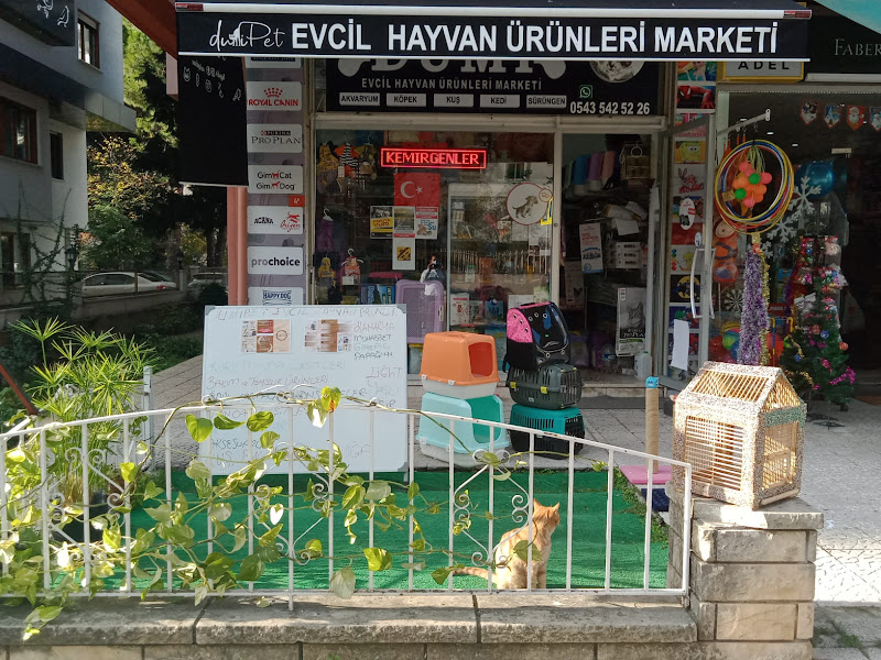 Korpet Petshop Mağaza - Kedi, Köpek ve Kuş Ürünleri 7/24 Açık Adrese Teslim