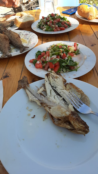 KOŞAT ALABALIK RESTORAN