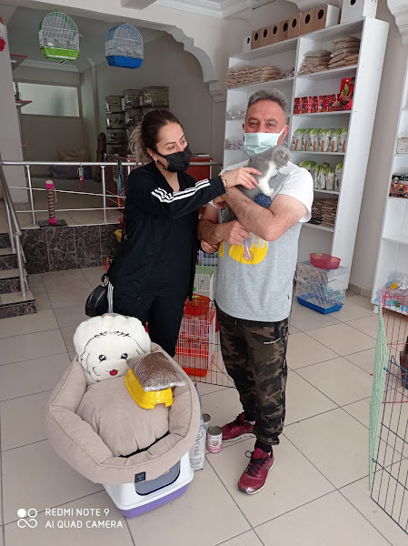 Kral Petshop , Akvaryum &PetHotel