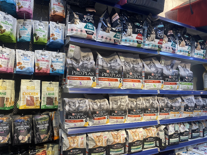 Kültür Petshop Güzelyurt