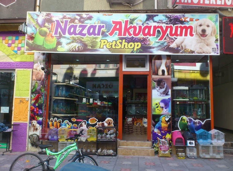 Kuş Dünyasi