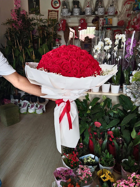 Lila Çiçekçilik