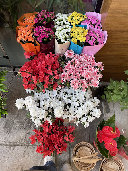Lilyum Flora | Ordu Altınordu Çiçekçi & Peyzaj Tasarım
