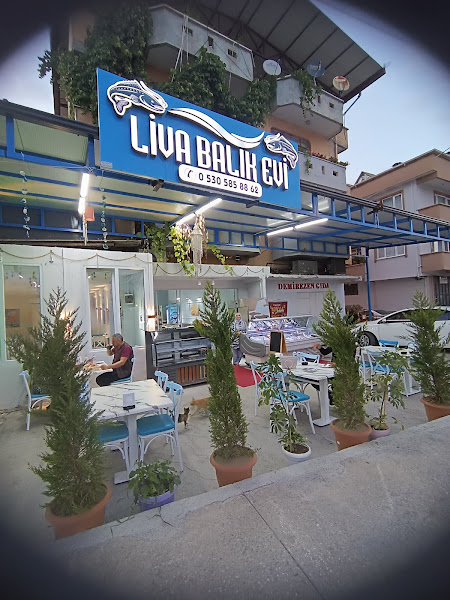 Liva Balık evi