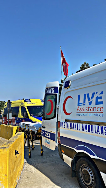 Live Assistance