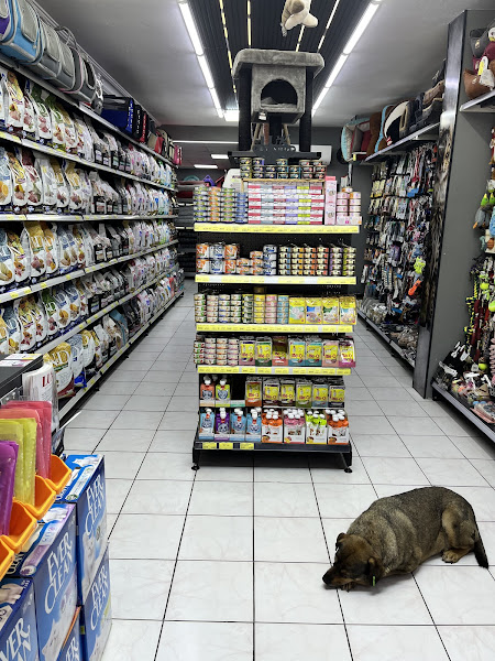 Lux Petshop