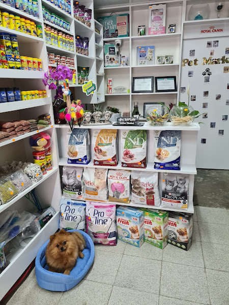MADAM GODİ PETSHOP