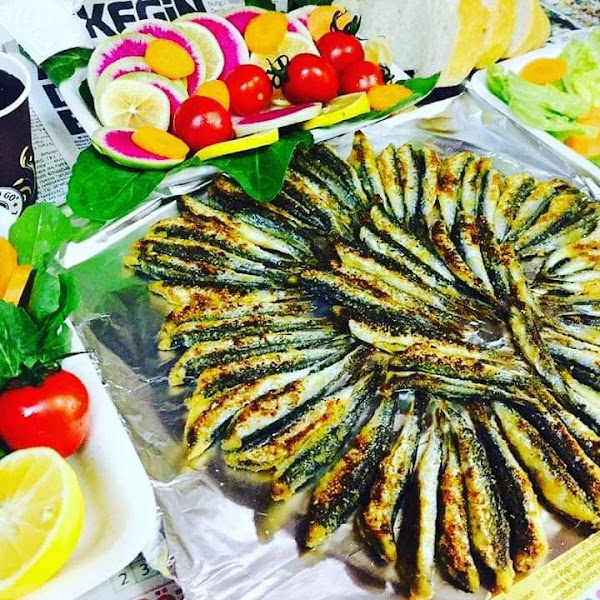 Malatya Balıkçı Nevzat Malatya Temelli Taze Balık