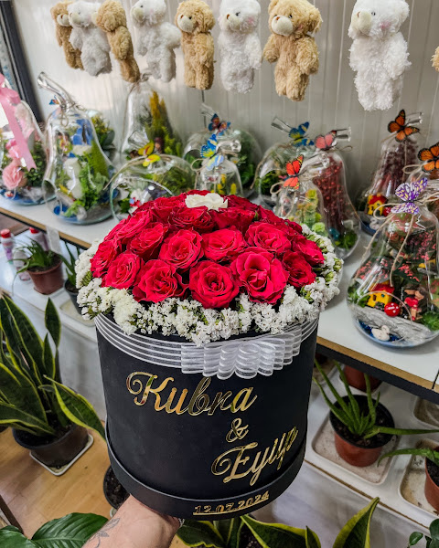 MALATYA PARADOKS ÇİÇEK