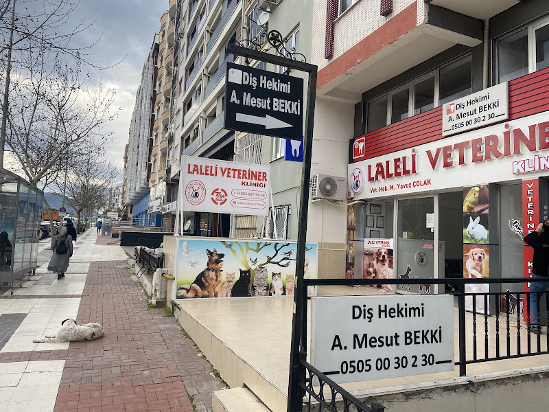 Manisa Çocuk Diş Hekimi Uzm. Dt. Damla Bolat