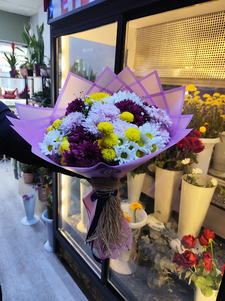 Manisa Eylül Çiçek