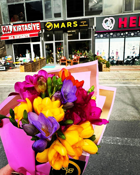 Mars Çiçek & Tasarım