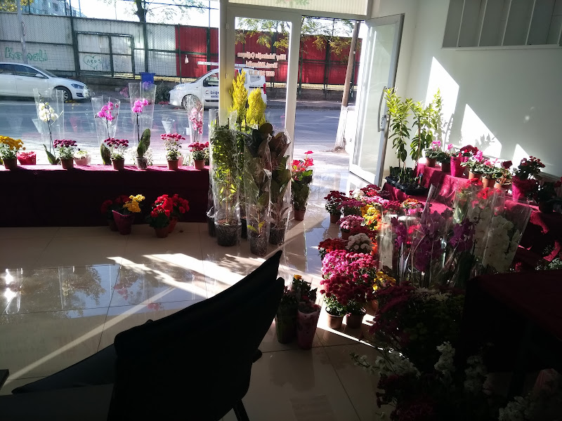 Masal Çiçek Evi ve Peyzaj