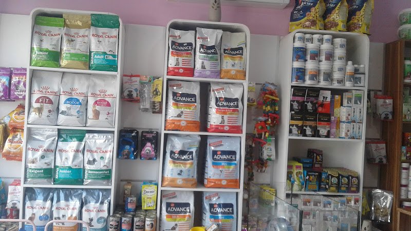 Masal Petshop
