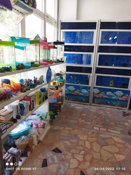 Masalsı Petshop & Balık Av Malzemeleri