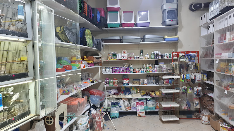 mavi boncuk petshop