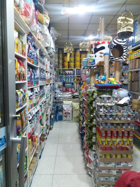 Mavi Pet Shop ve akvaryum dünyası
