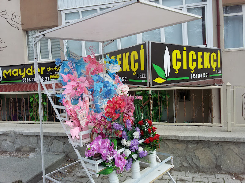 Mayder çiçekçilik- Çiçekçi İlker