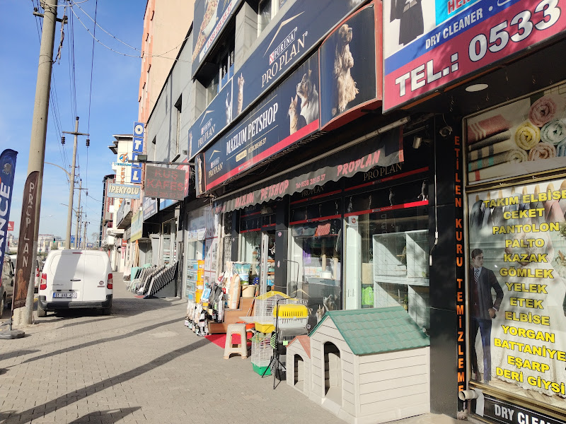 Mazlum Pet Shop