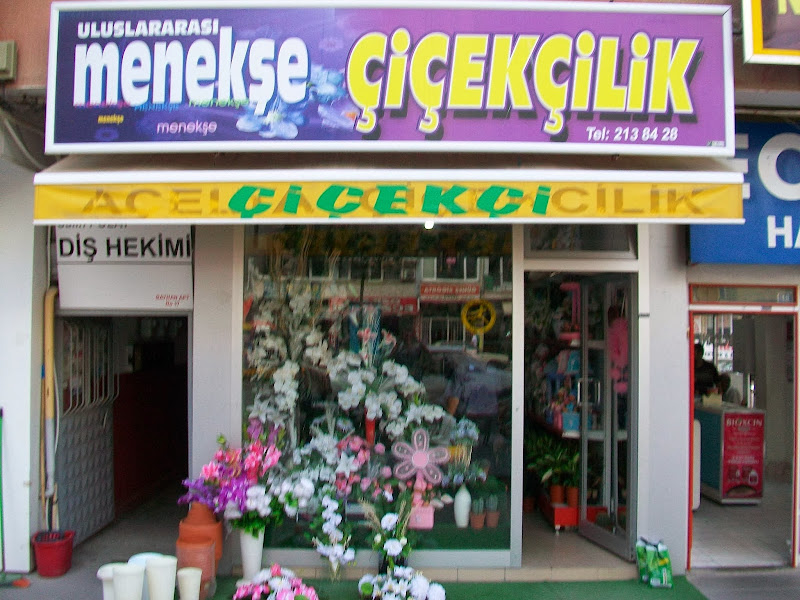 MENEKŞE ÇİÇEKÇİLİK
