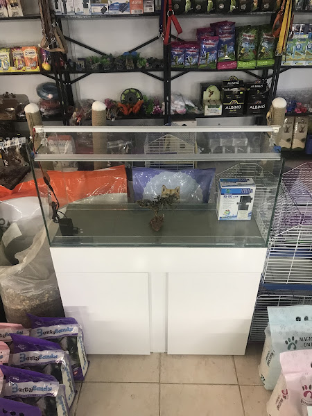 mercan petshop kırıkkale