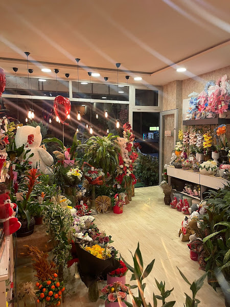 Mersin Can Flowers