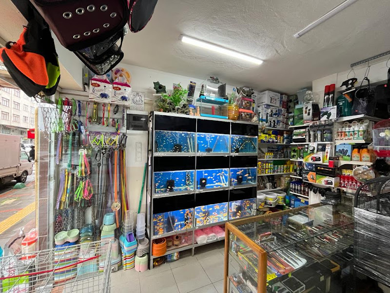 Meteler Petshop