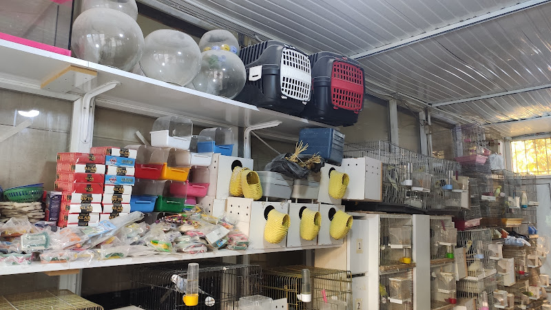 Meva Kuş Evi & Petshop