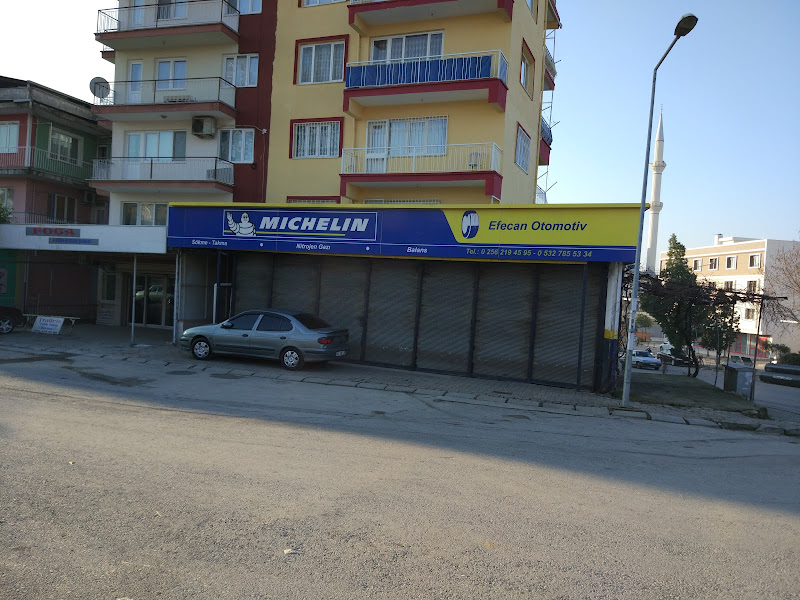 Michelin - Efecan Otomotiv