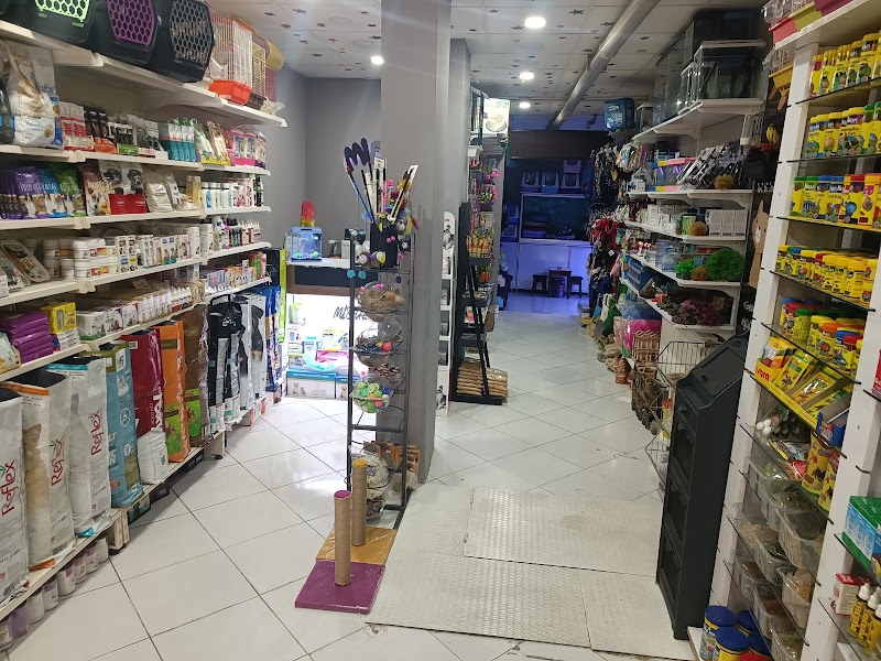 Mihav Petshop