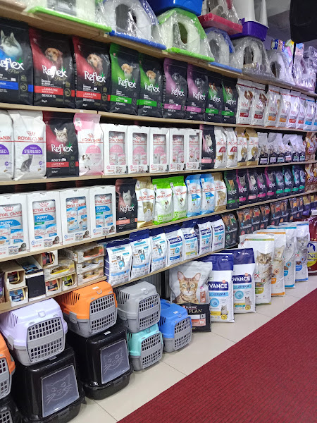 Mimi Pet Shop