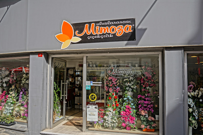 Mimoza Çiçekçilik