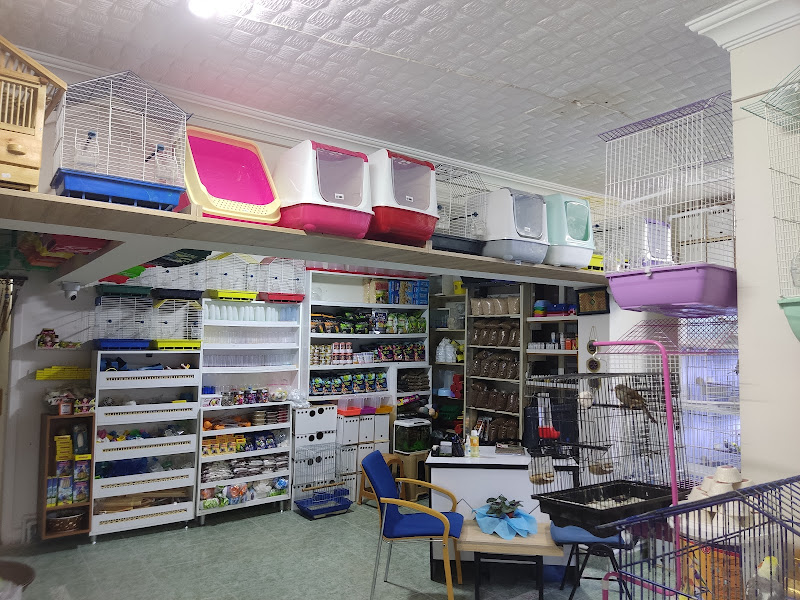 Mina Pet Market / Yem Ticaret Royal Yem Bayi