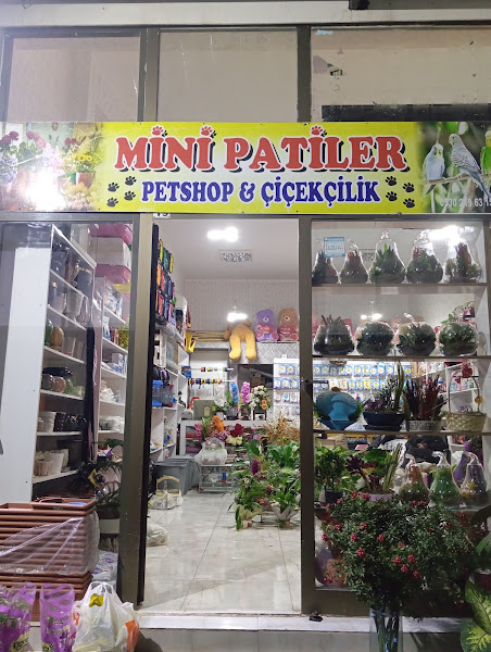 Mini patiler pethsop çiçekçilik